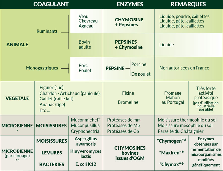 Présure et Caillette - Laboratoires Abia